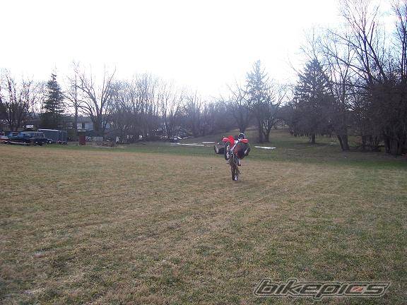 Photo 280171
