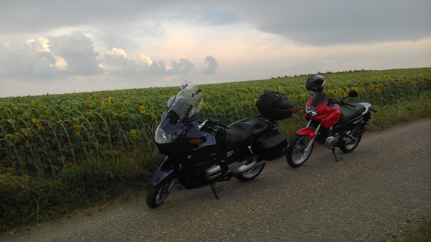 Photo 2801788