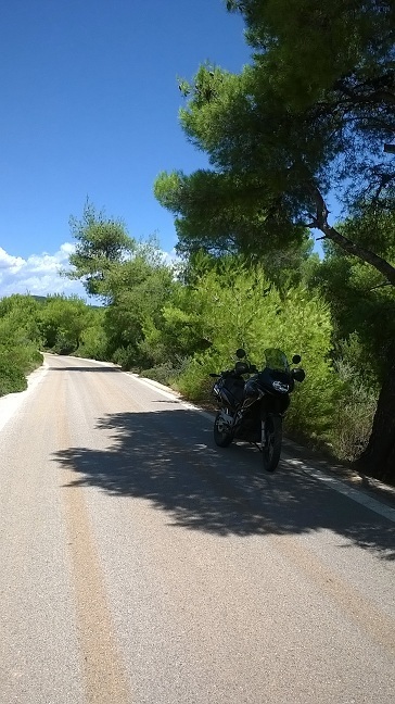Photo 2801940