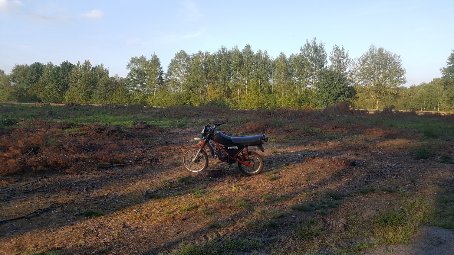 Photo 2802044