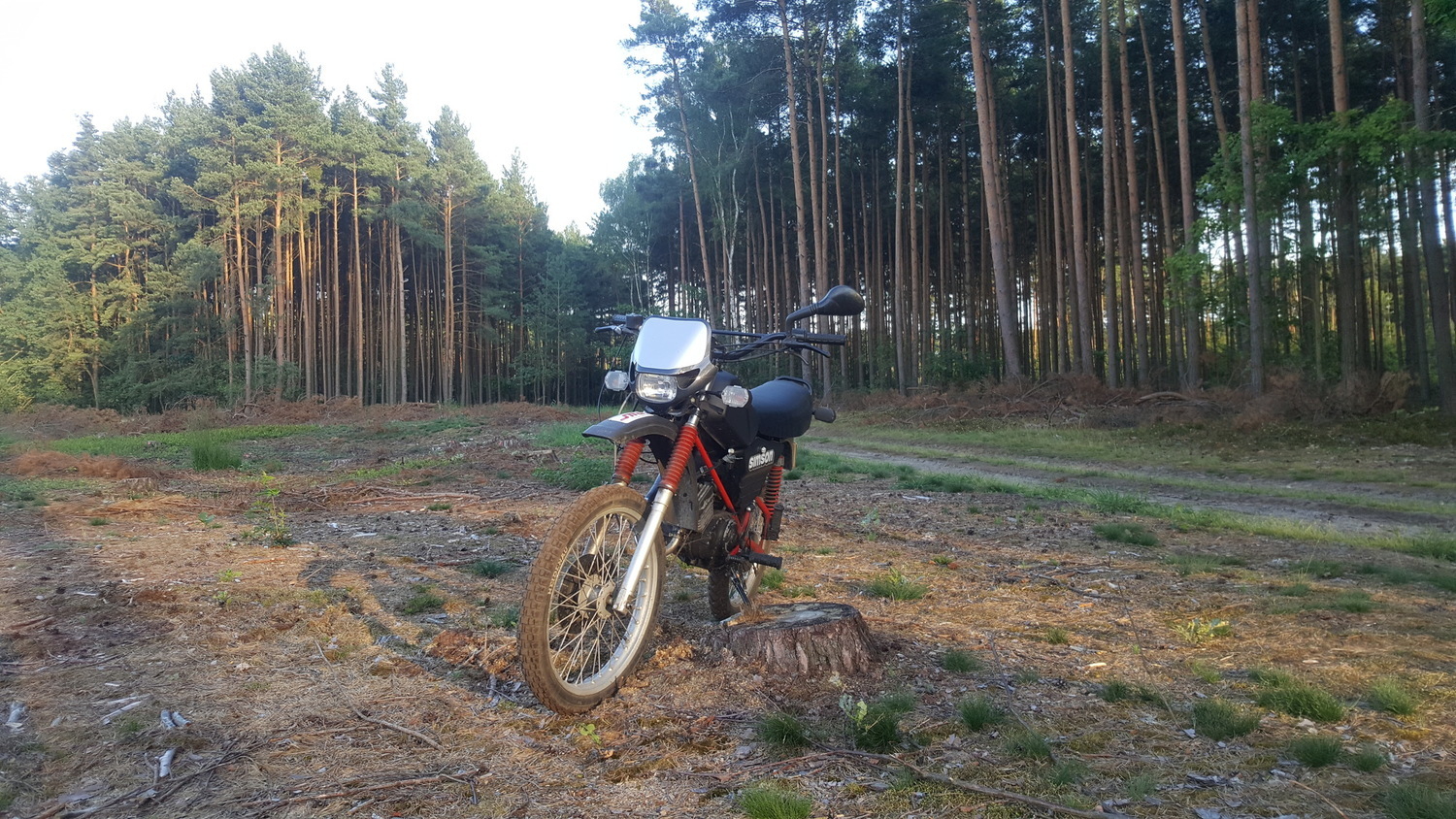 Photo 2802046