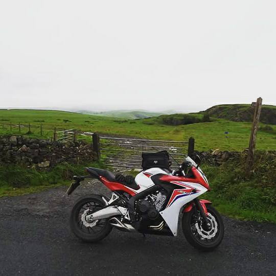Photo 2802213