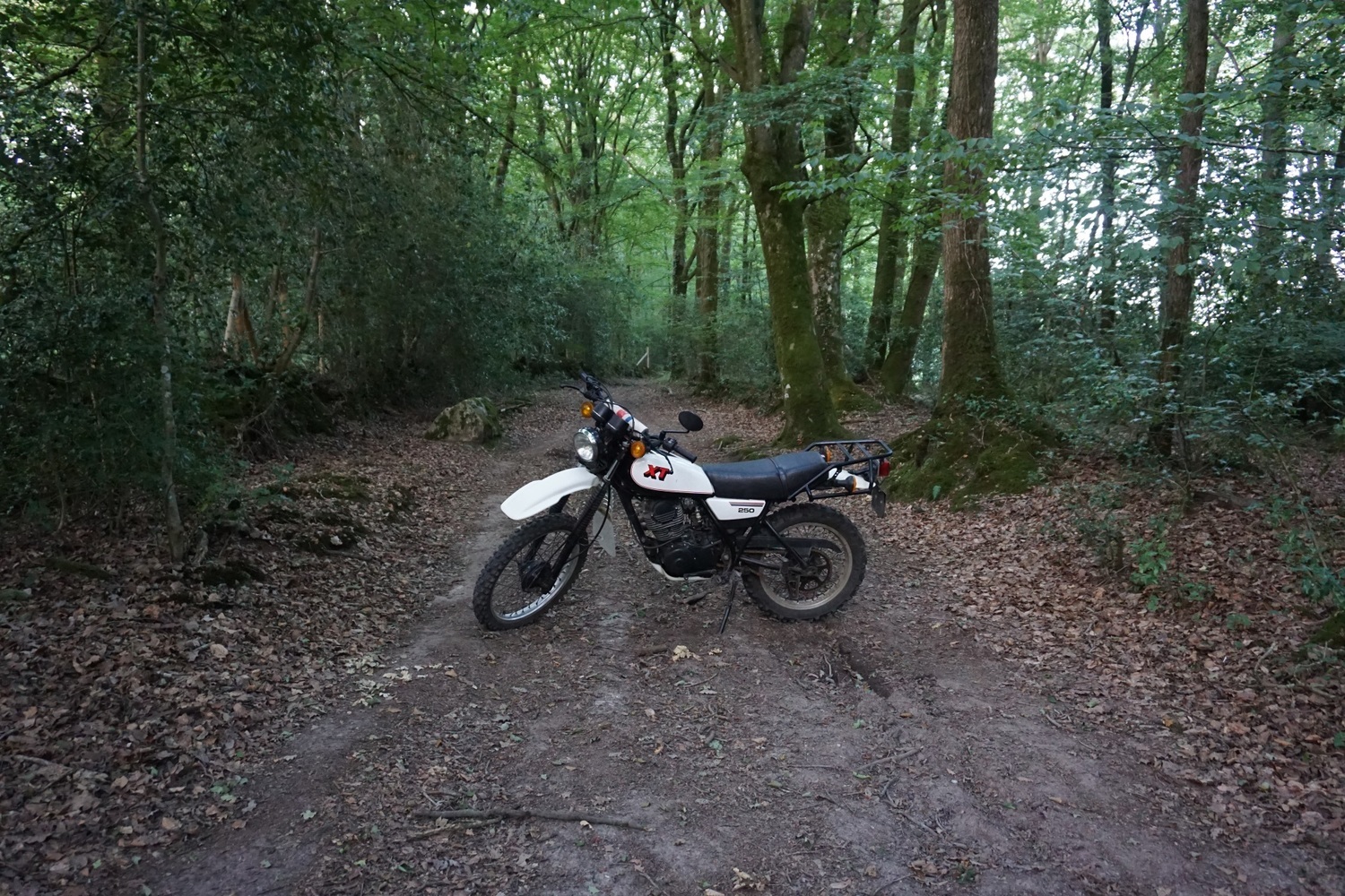 Bike Photo 2802340