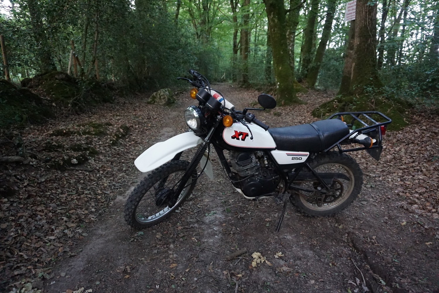 Bike Photo 2802341