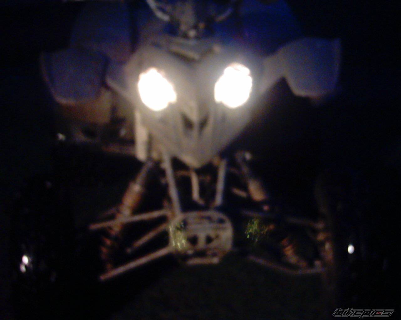 Photo 280237
