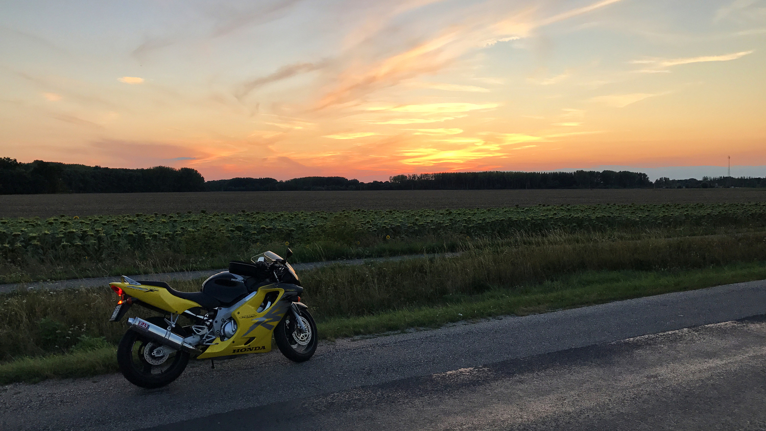 Photo 2802388