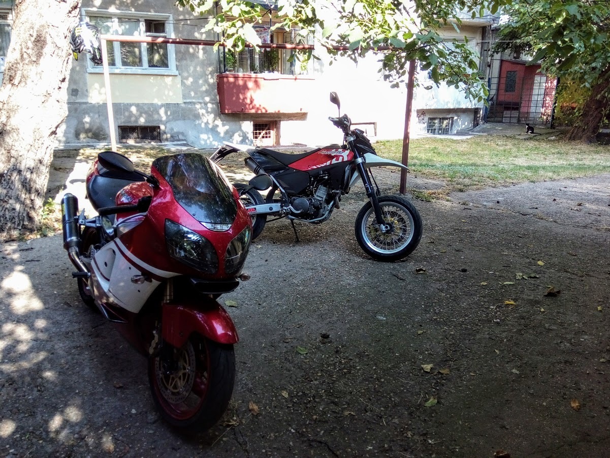 Photo 2802456