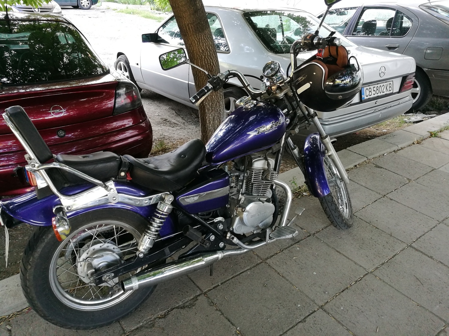 Photo 2802503