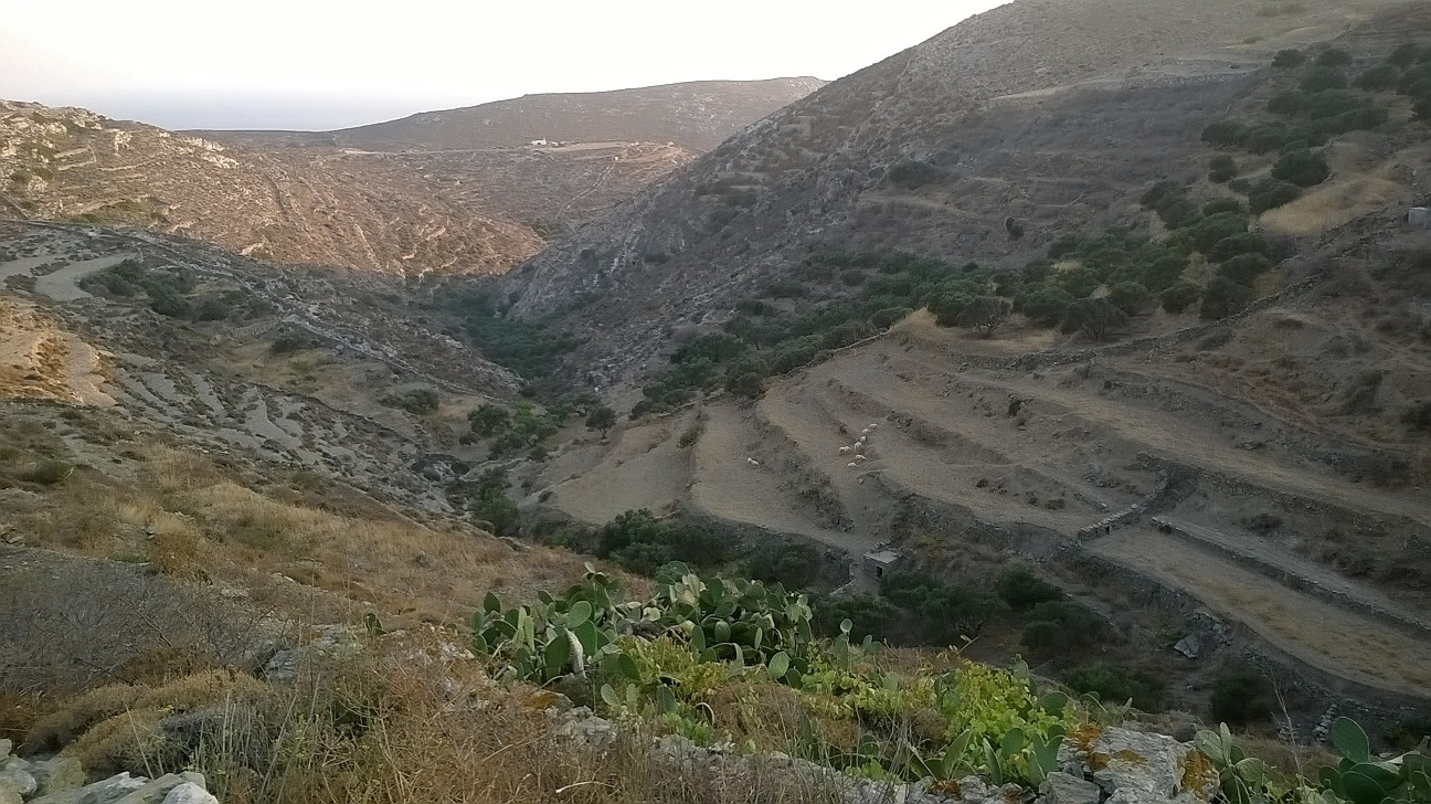 Photo 2802536