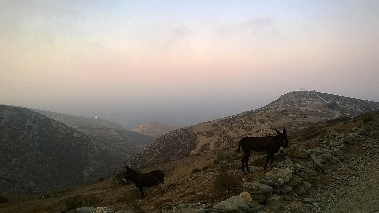 Photo 2802541