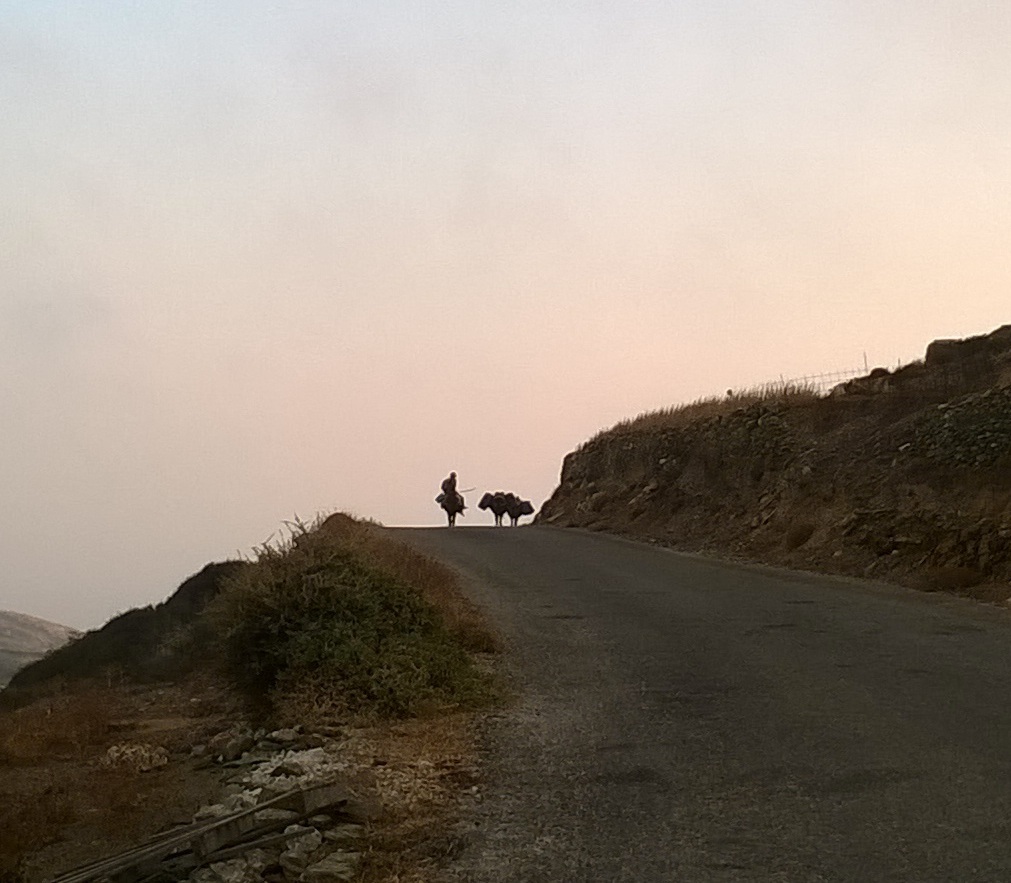 Photo 2802547