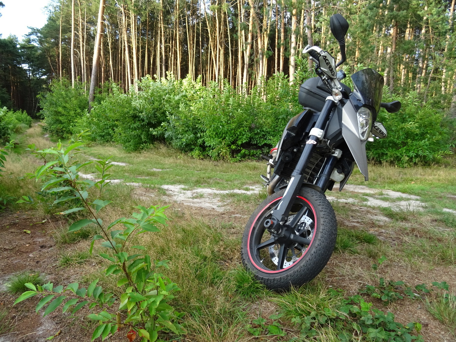 Bike Photo 2802600