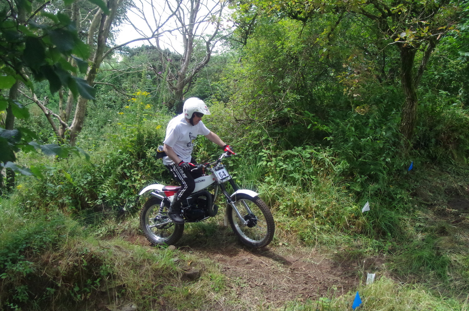 Photo 2802632