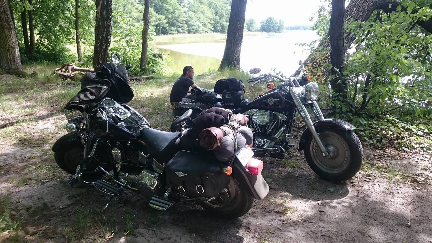 Photo 2802655