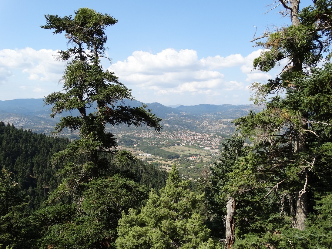 Photo 2802672