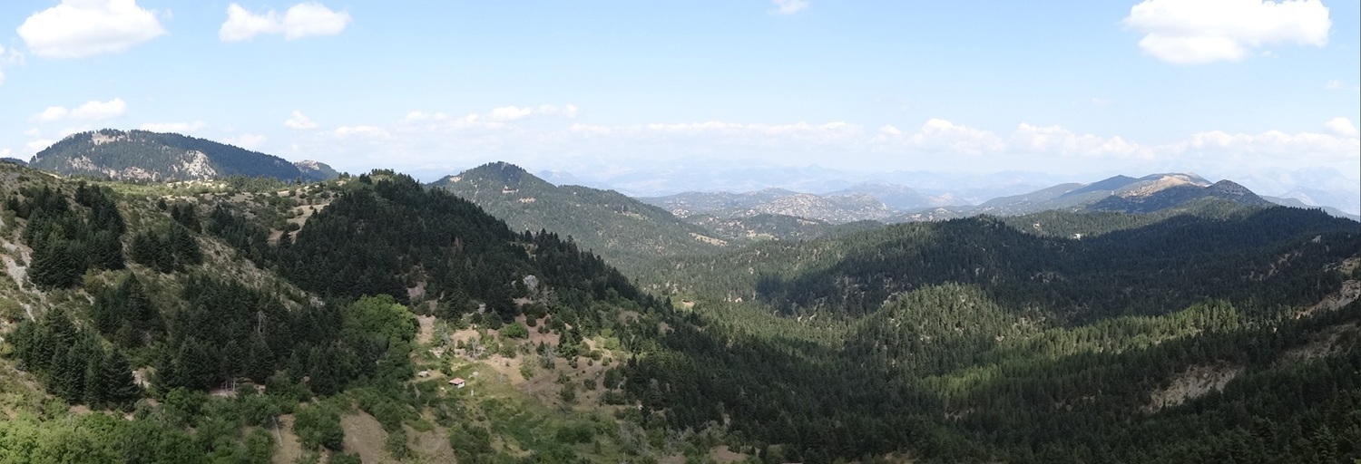 Photo 2802676