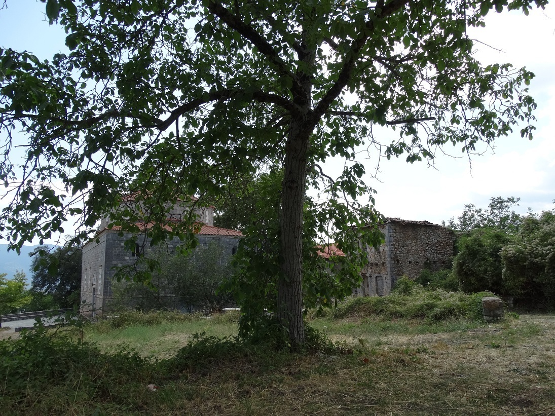 Photo 2802681