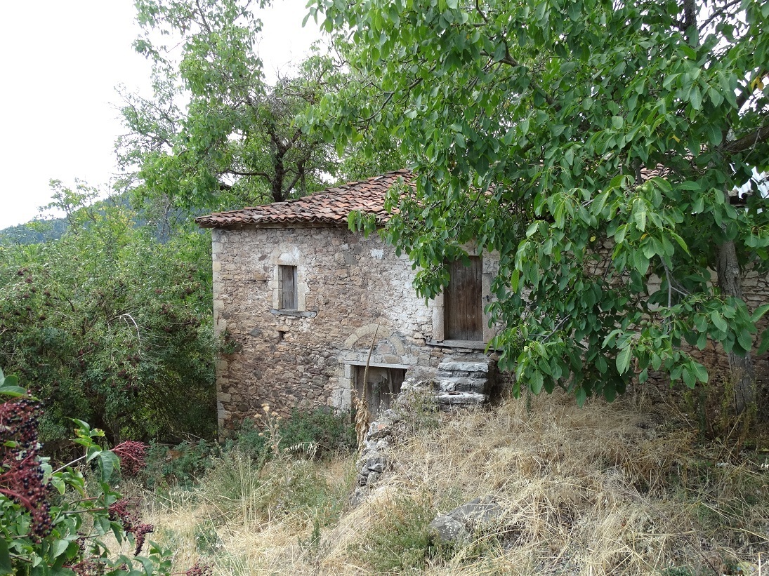 Photo 2802684