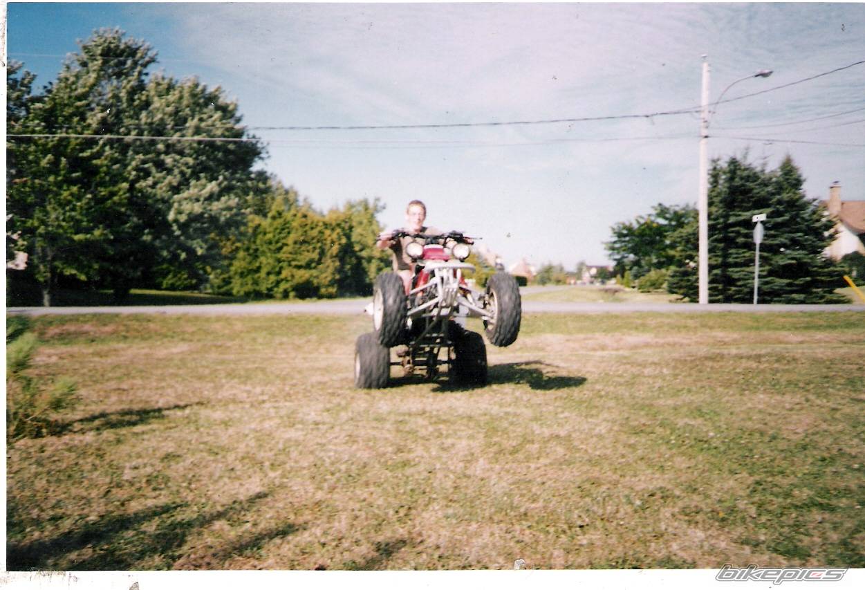 Photo 280270