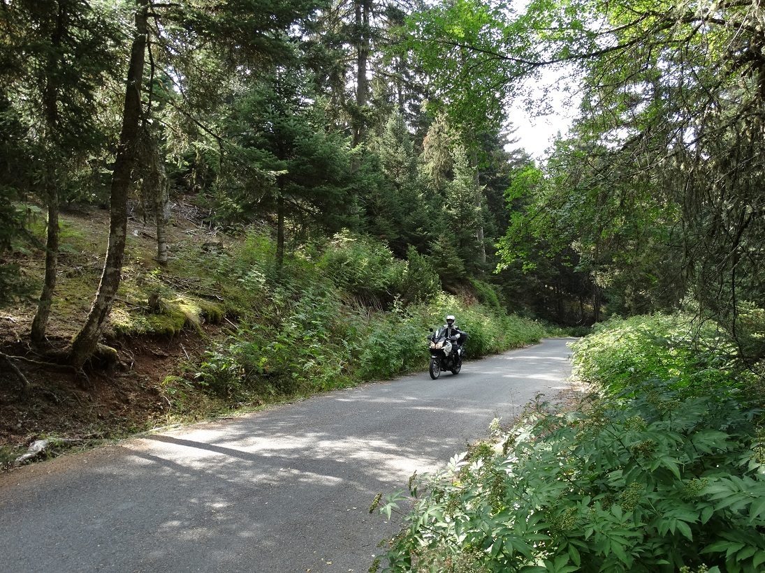 Photo 2802704