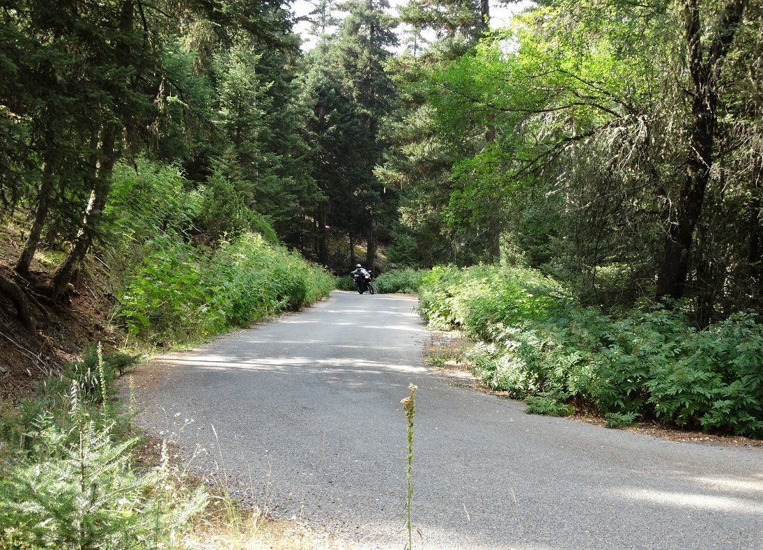 Photo 2802705