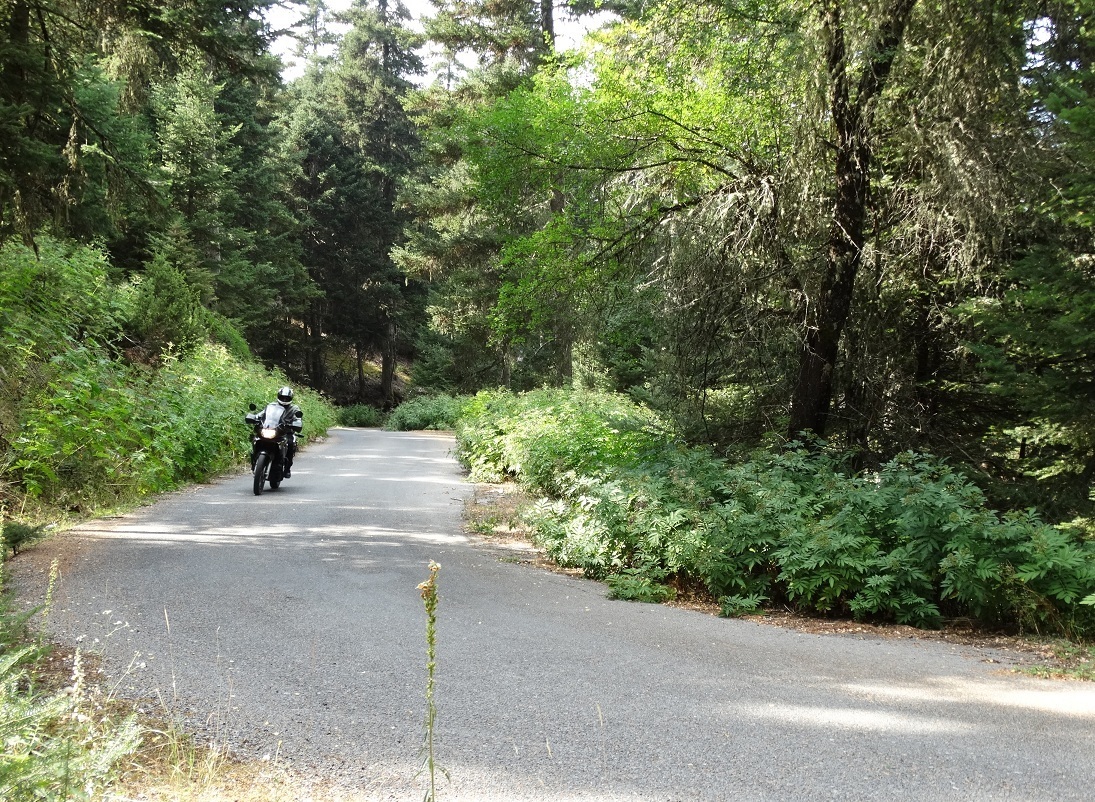 Photo 2802706