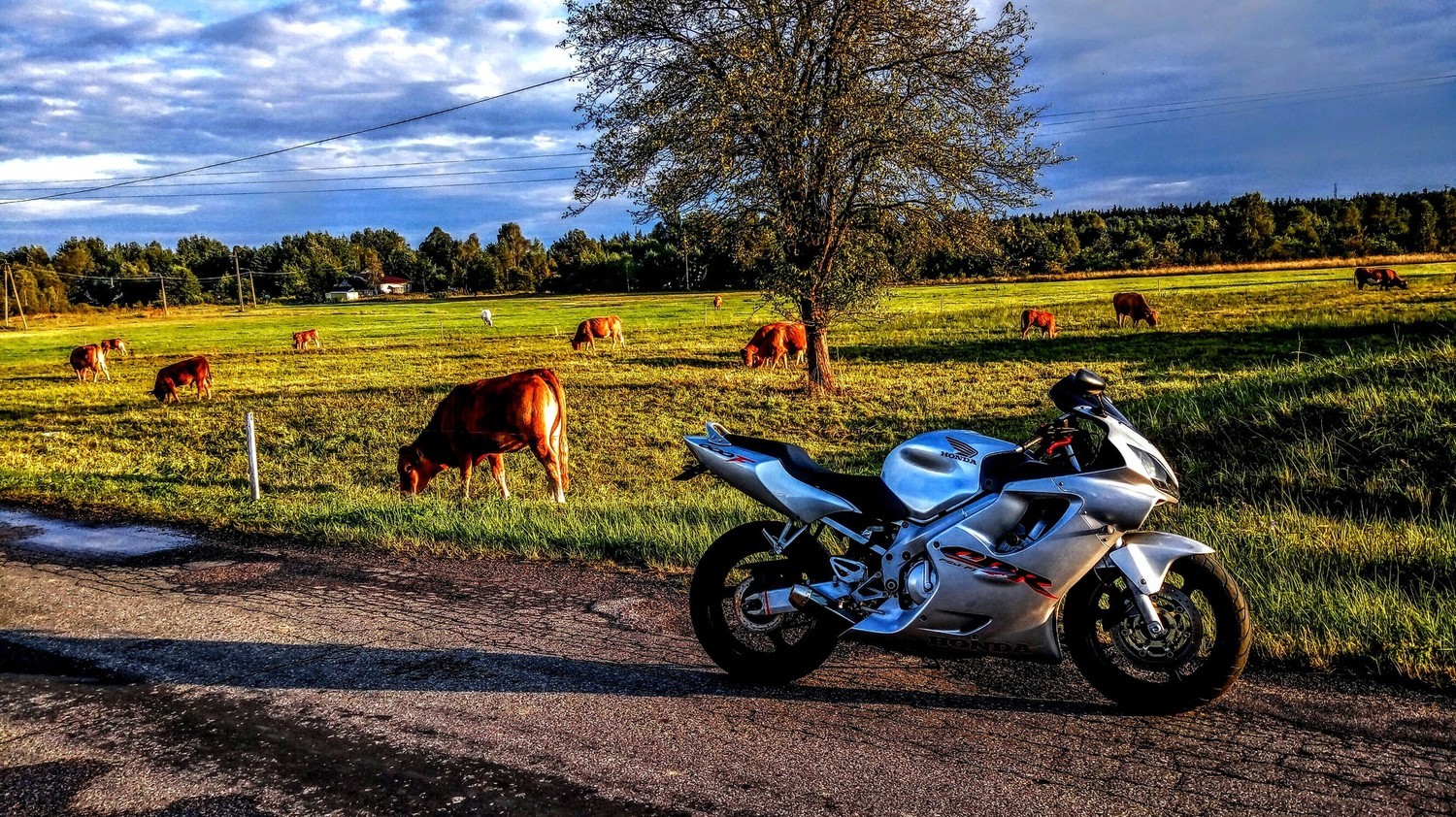 Photo 2802715