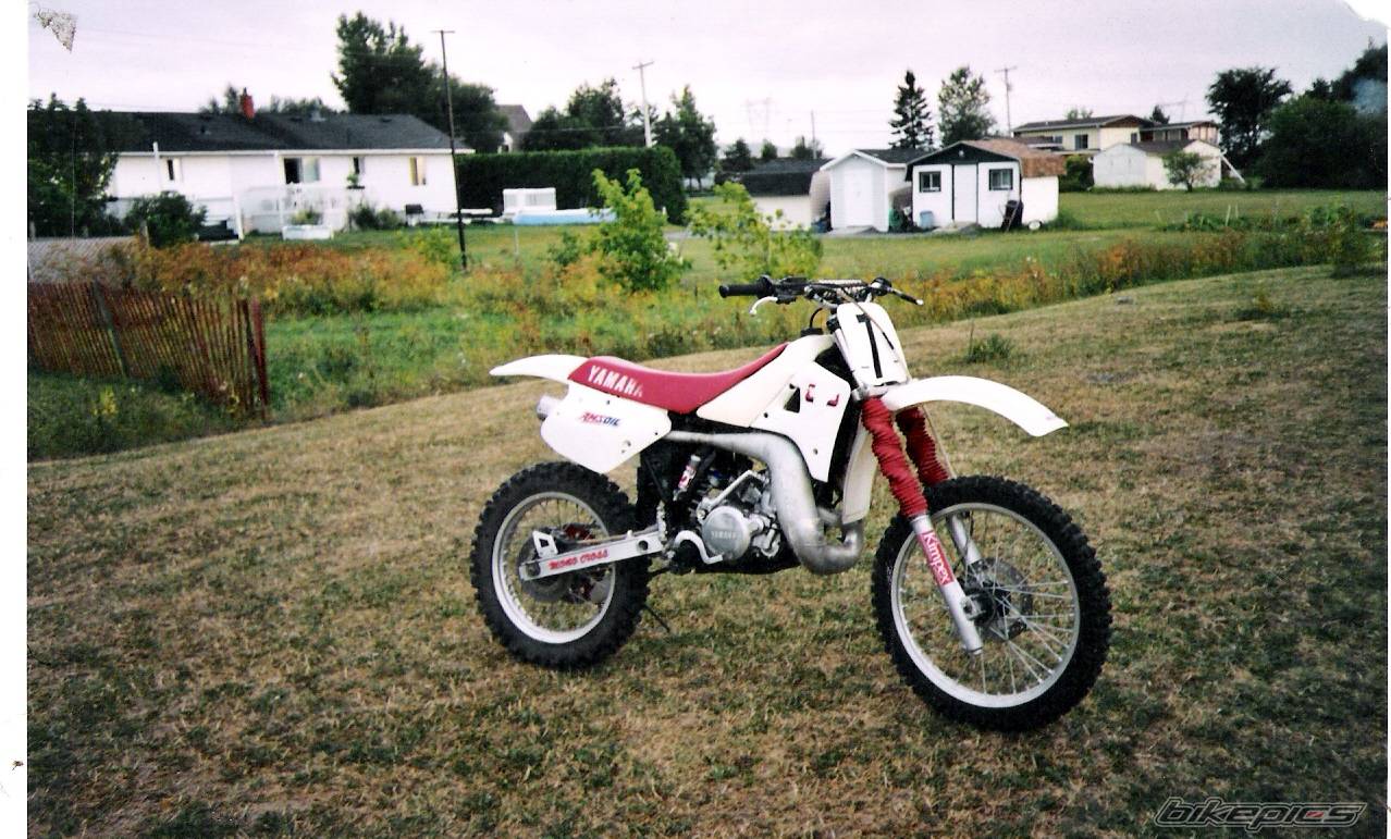Photo 280277