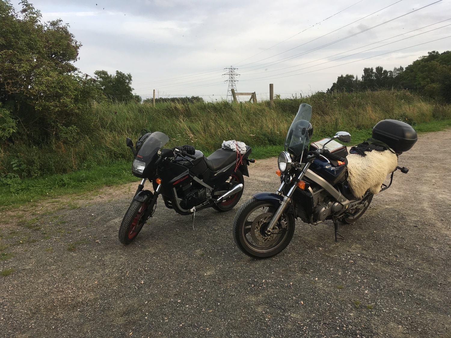 Photo 2802785