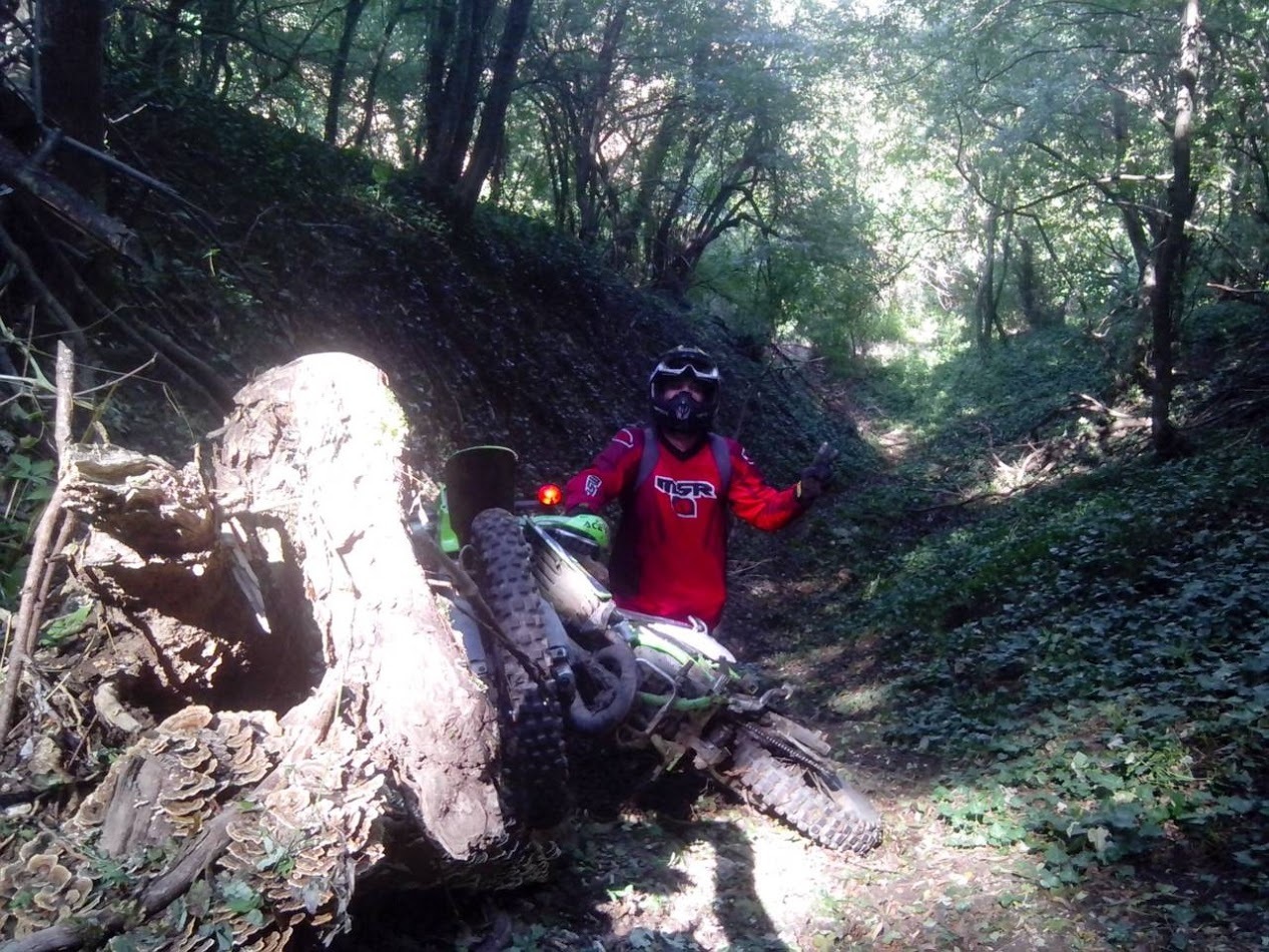 Bike Photo 2803102