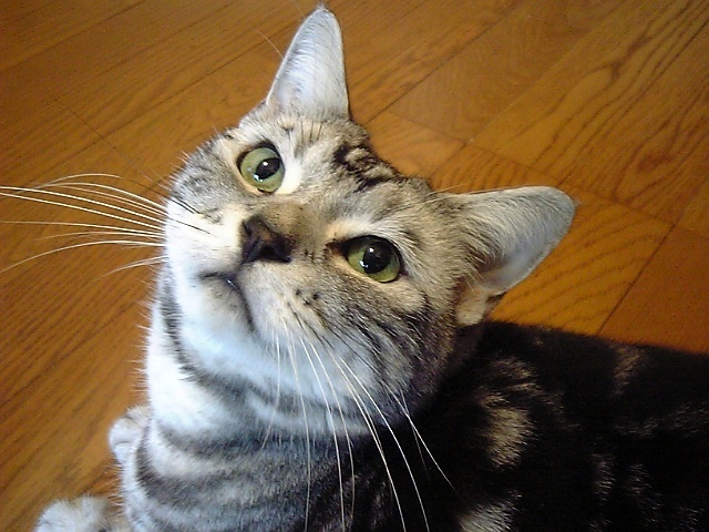Photo 2803127