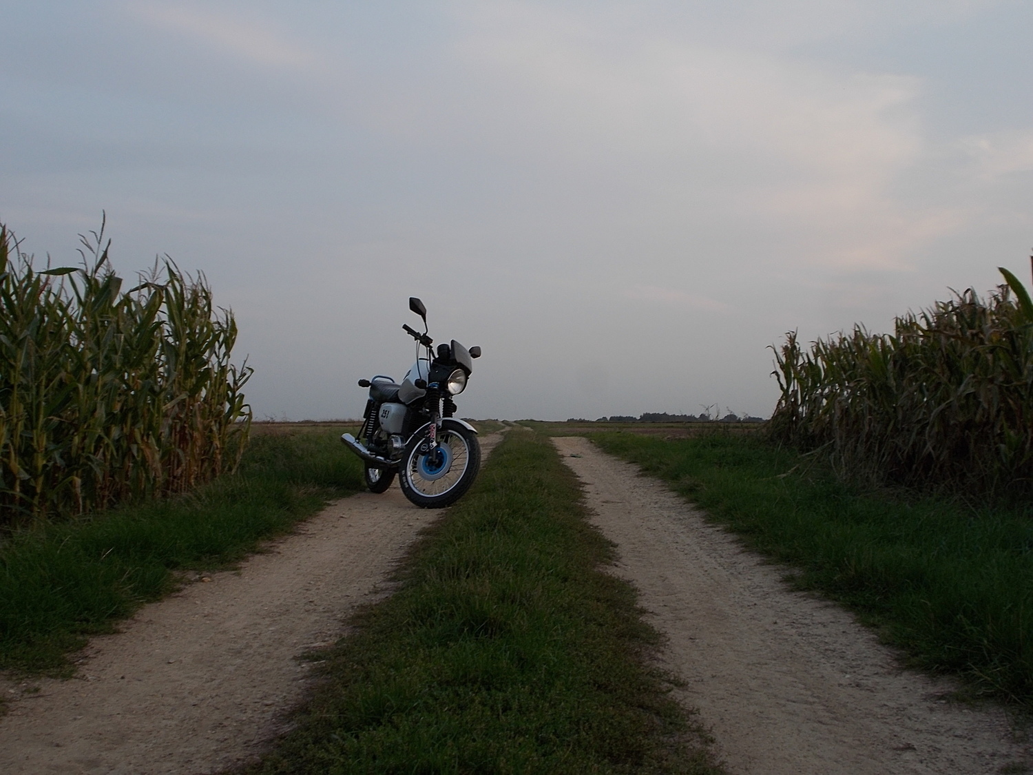Photo 2803177