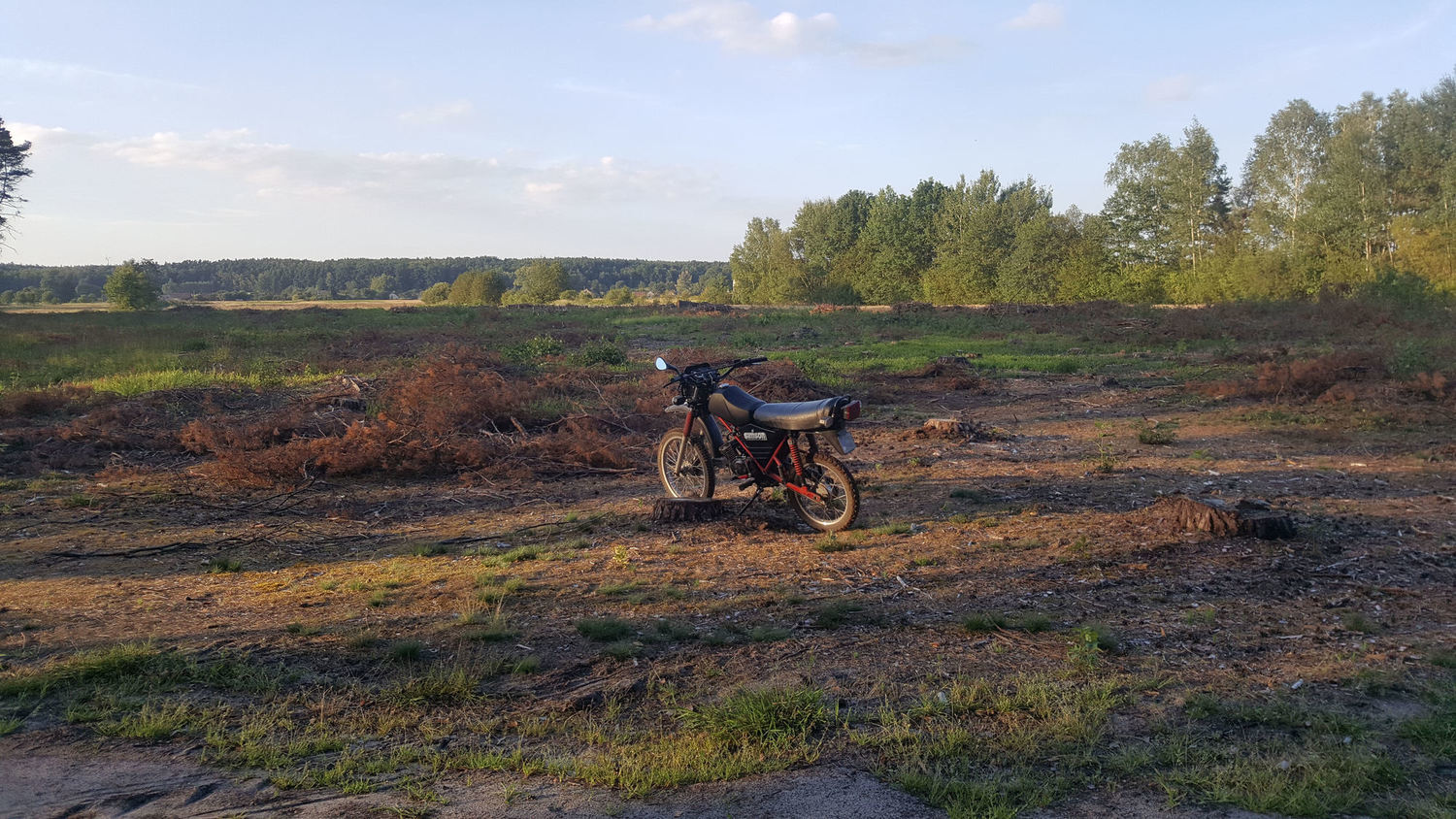 Photo 2803309