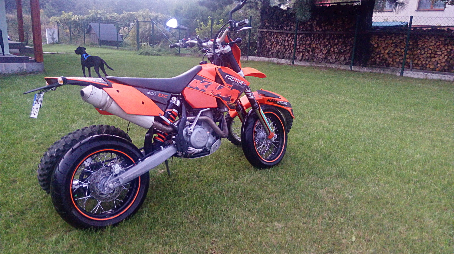 Photo 2803463