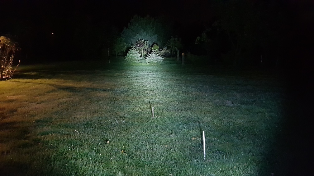 Photo 2803492