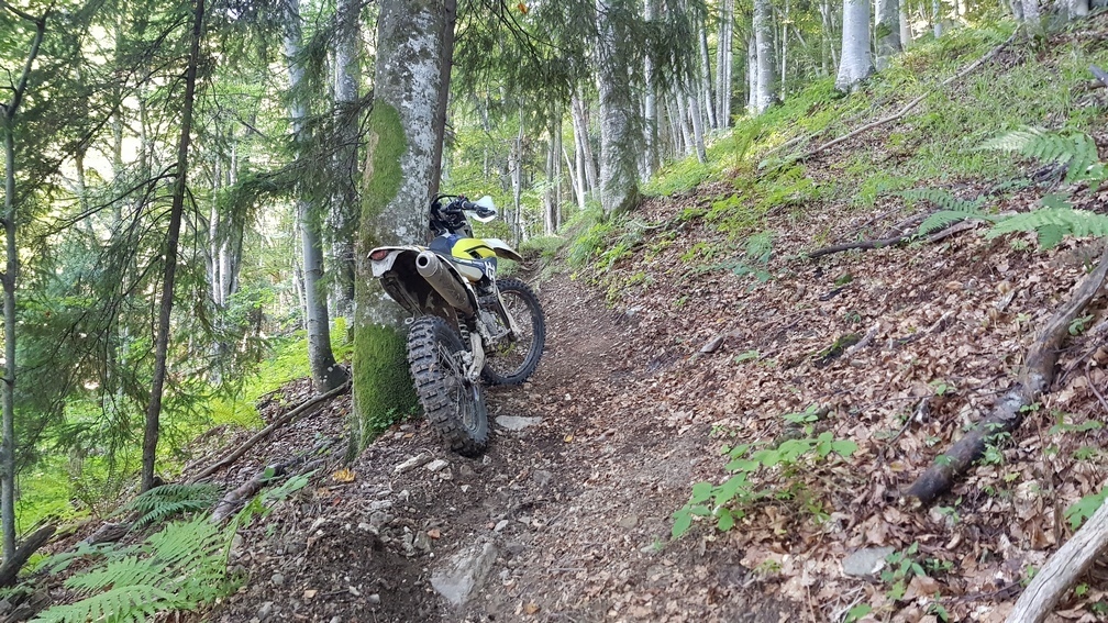 Photo 2803493
