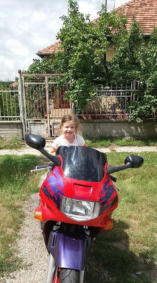 Photo 2803603