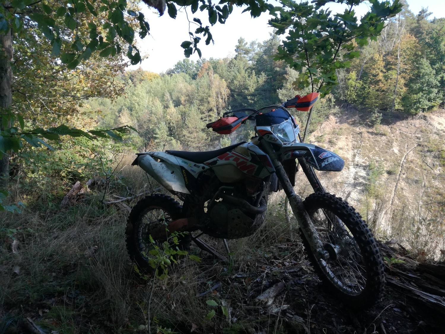 Photo 2803688
