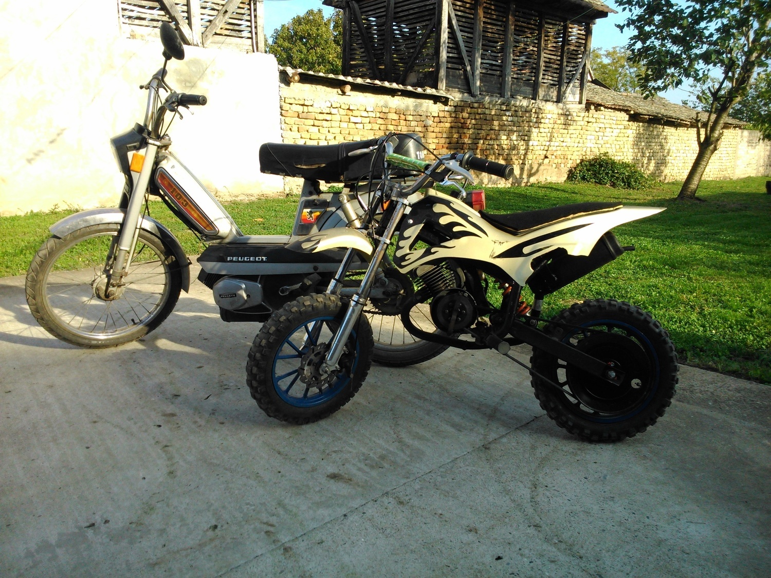 Tomos Tori
