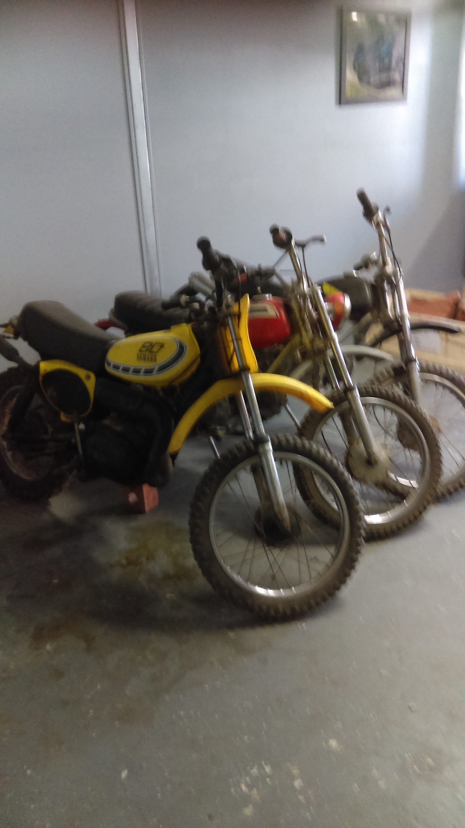 Photo 2804149
