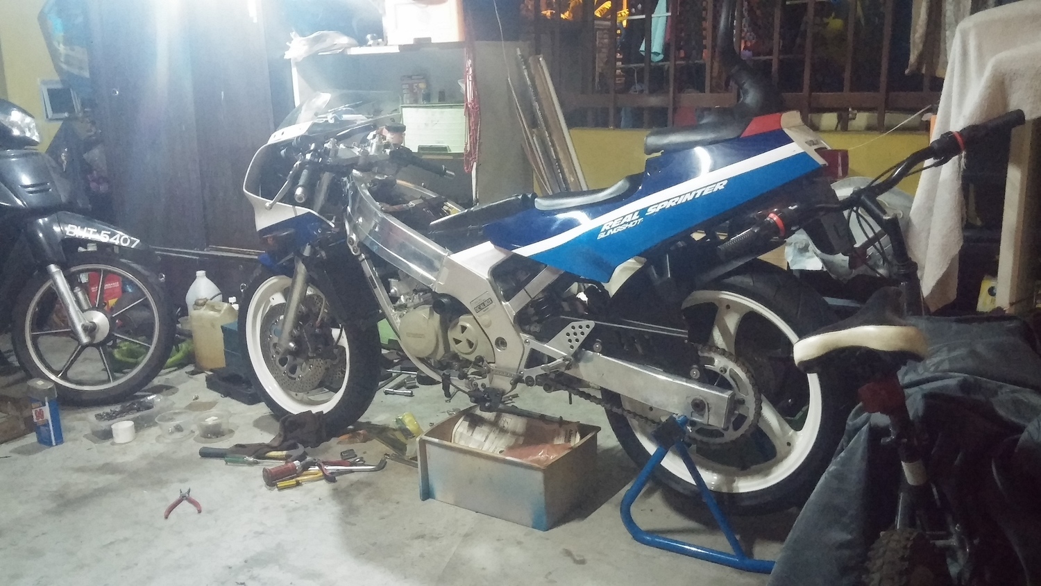 Photo 2804272