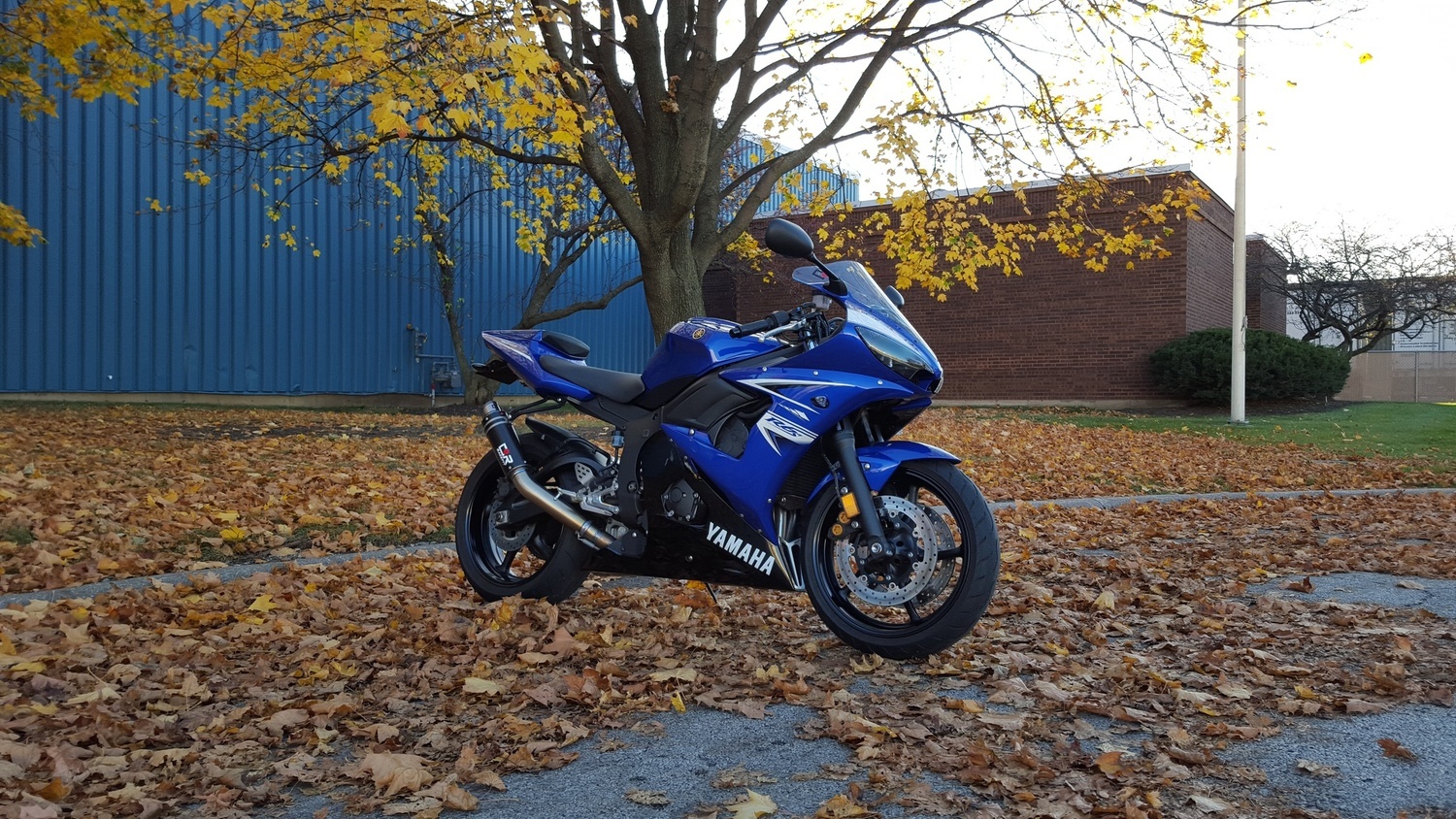 Photo 2804393