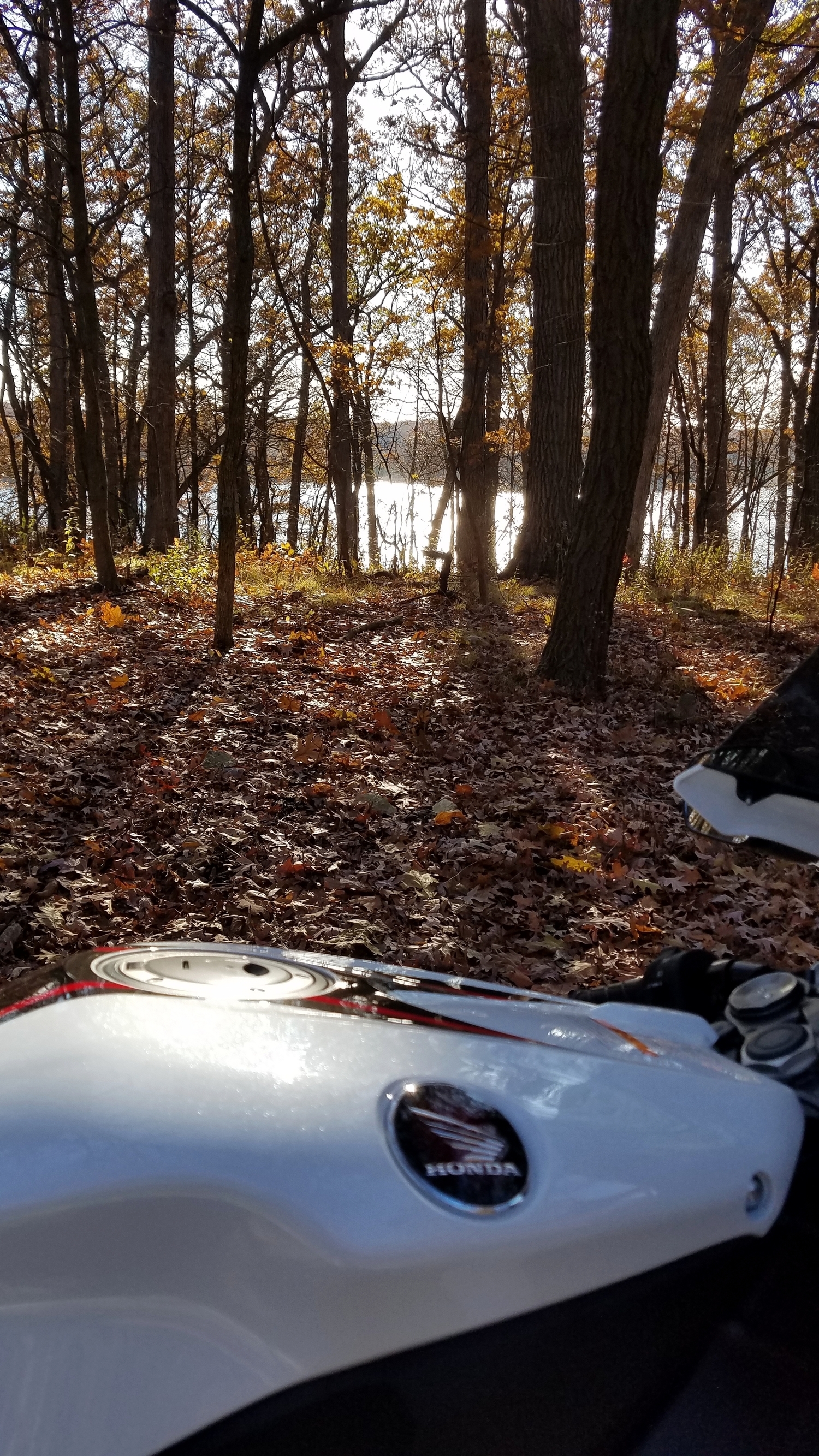 Photo 2804418