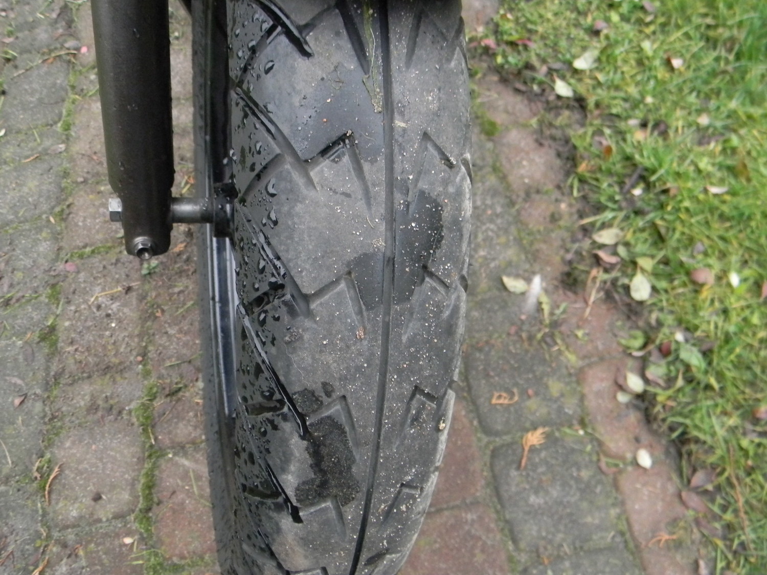 Bike Photo 2804537