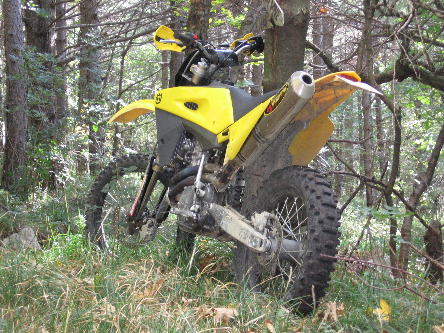 Photo 2804622
