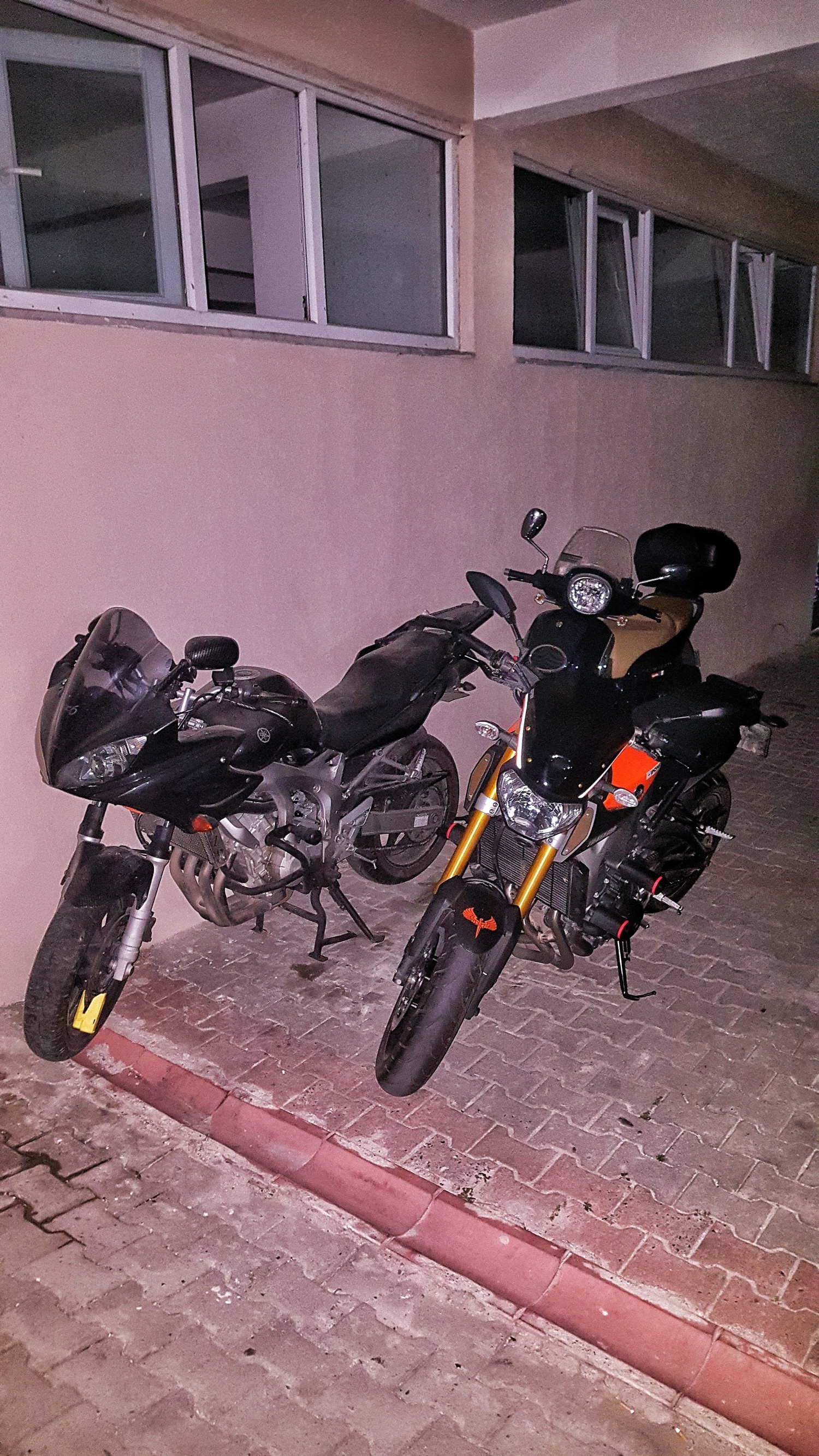 Photo 2804931