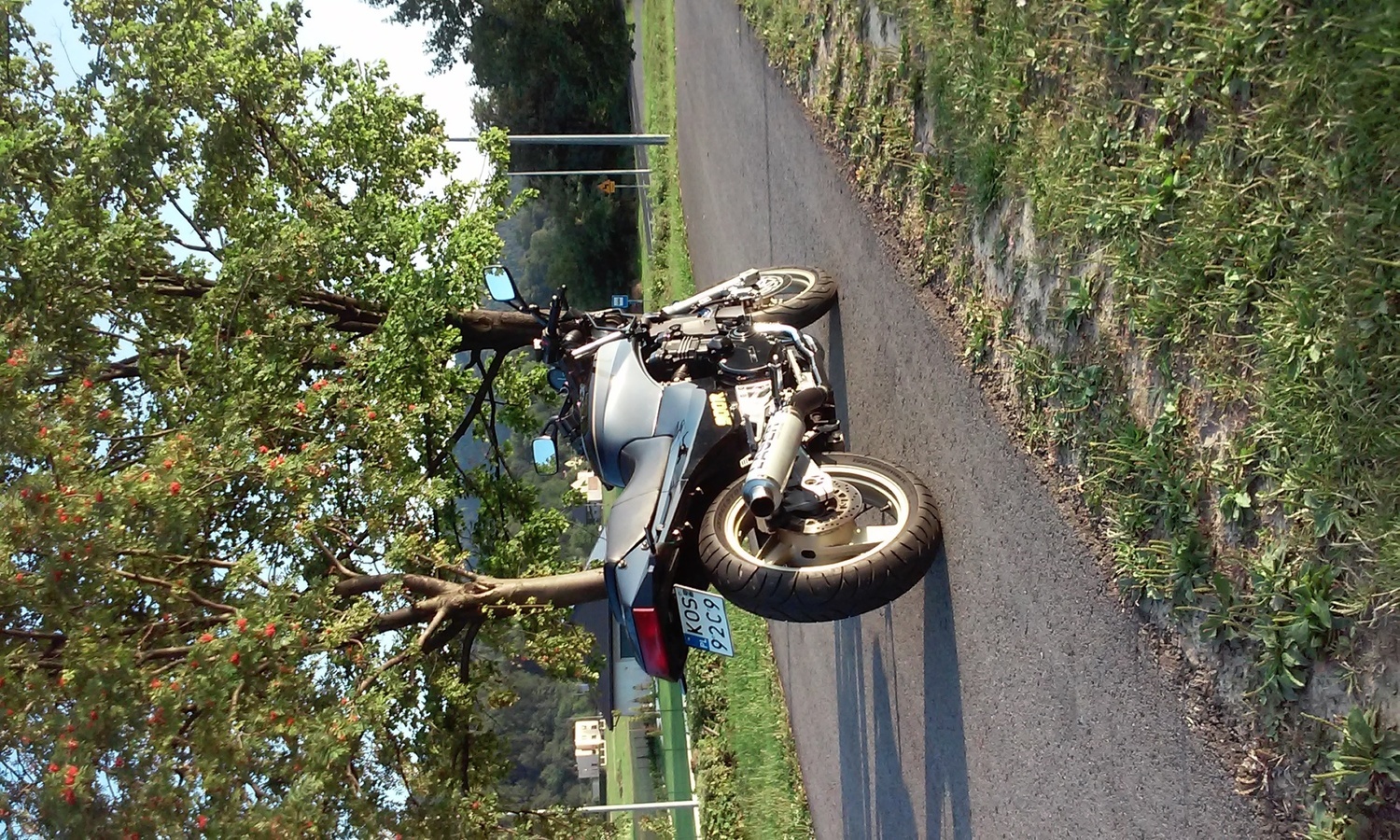 Photo 2805102