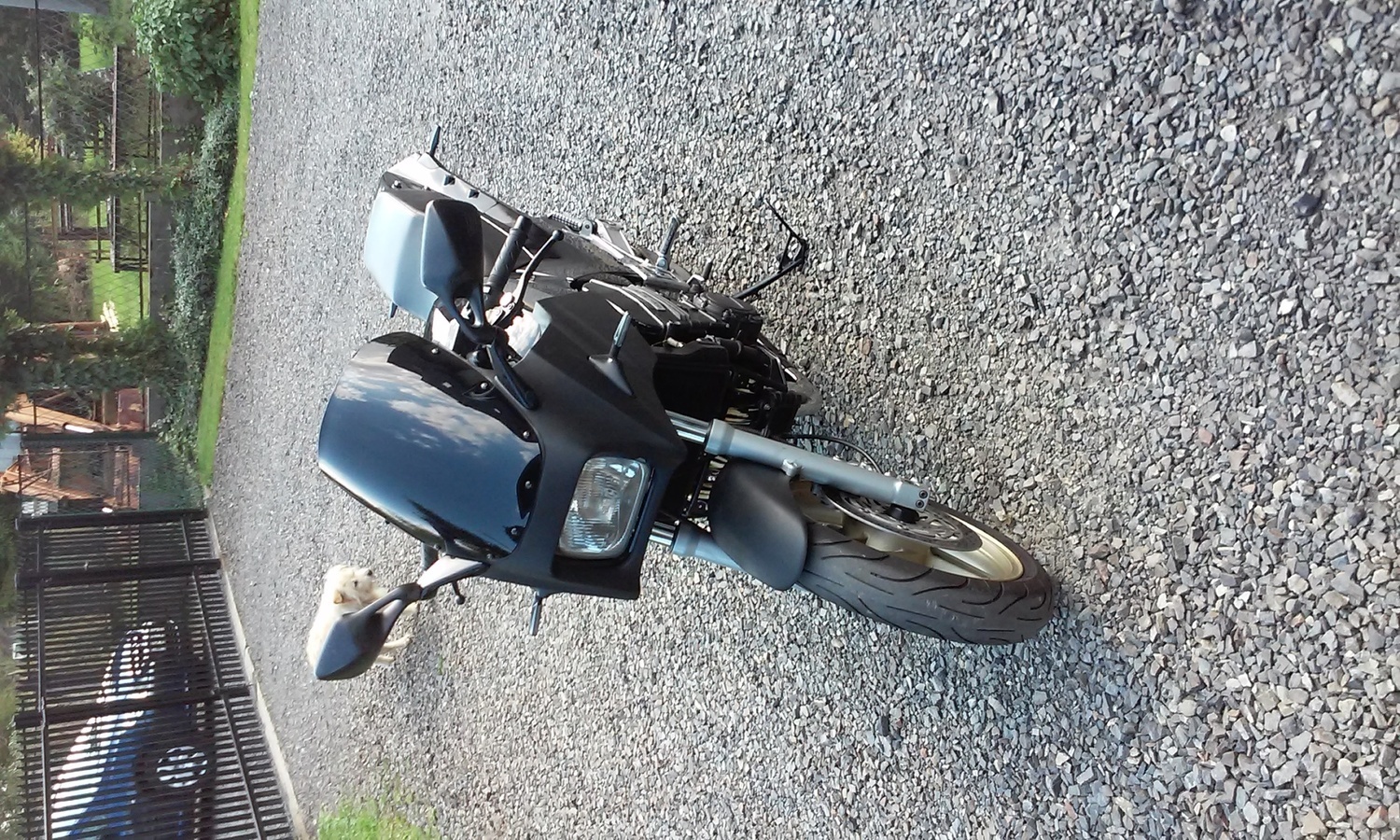 Photo 2805103