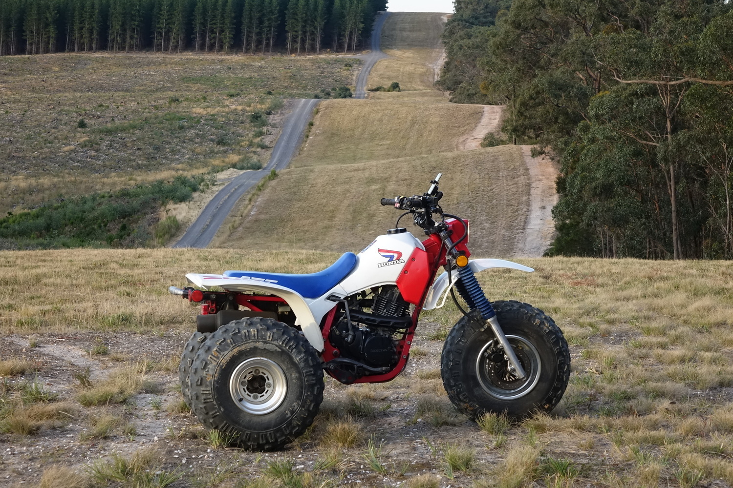 Bike Photo 2805380