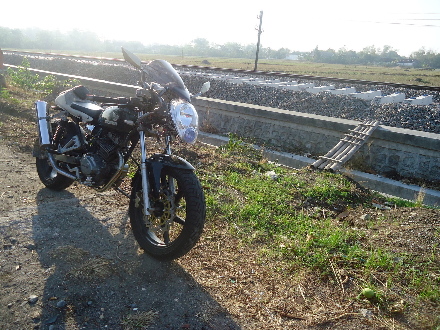 Photo 2805381